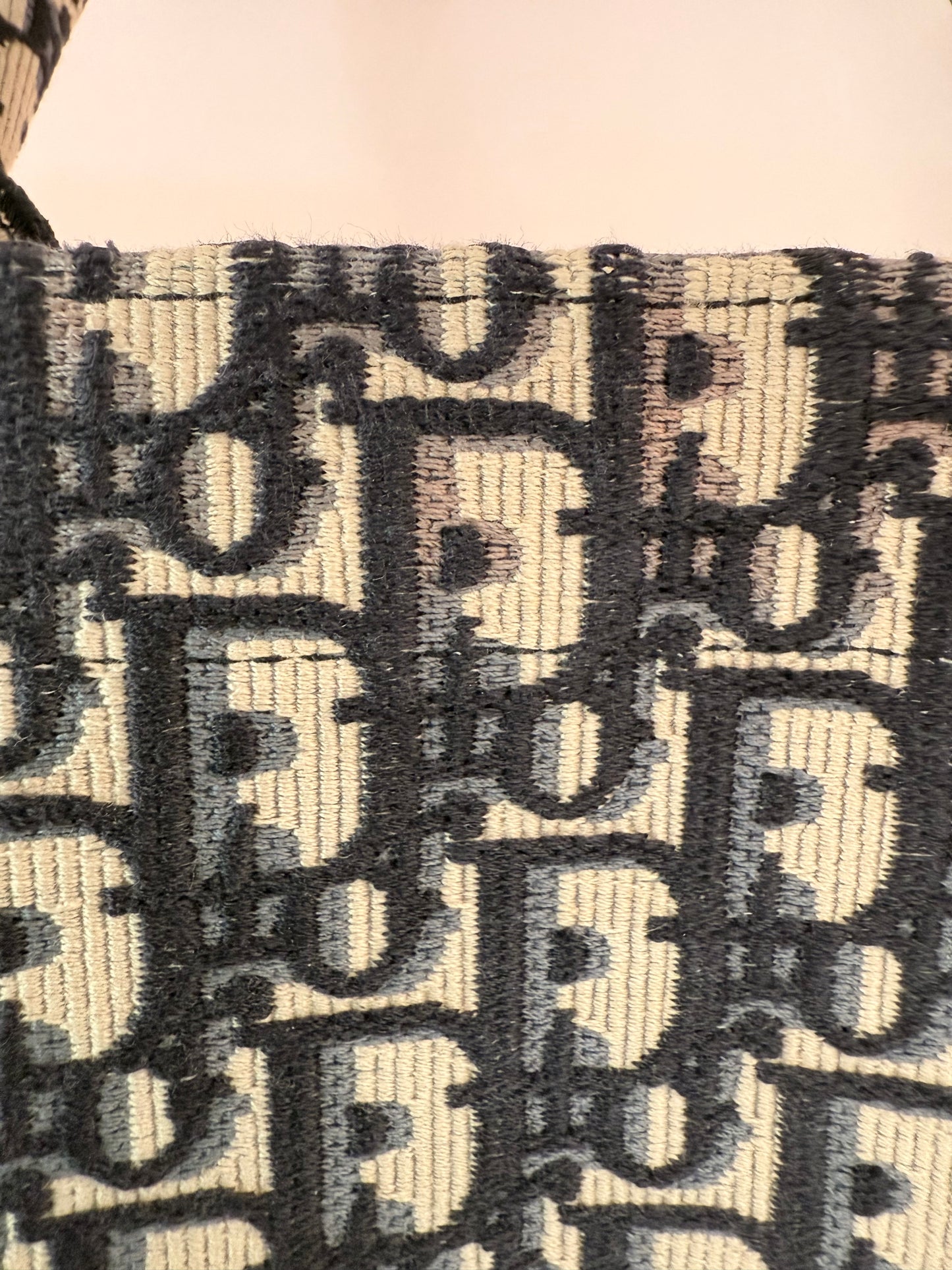 Christian Dior Large Blue Book Bag